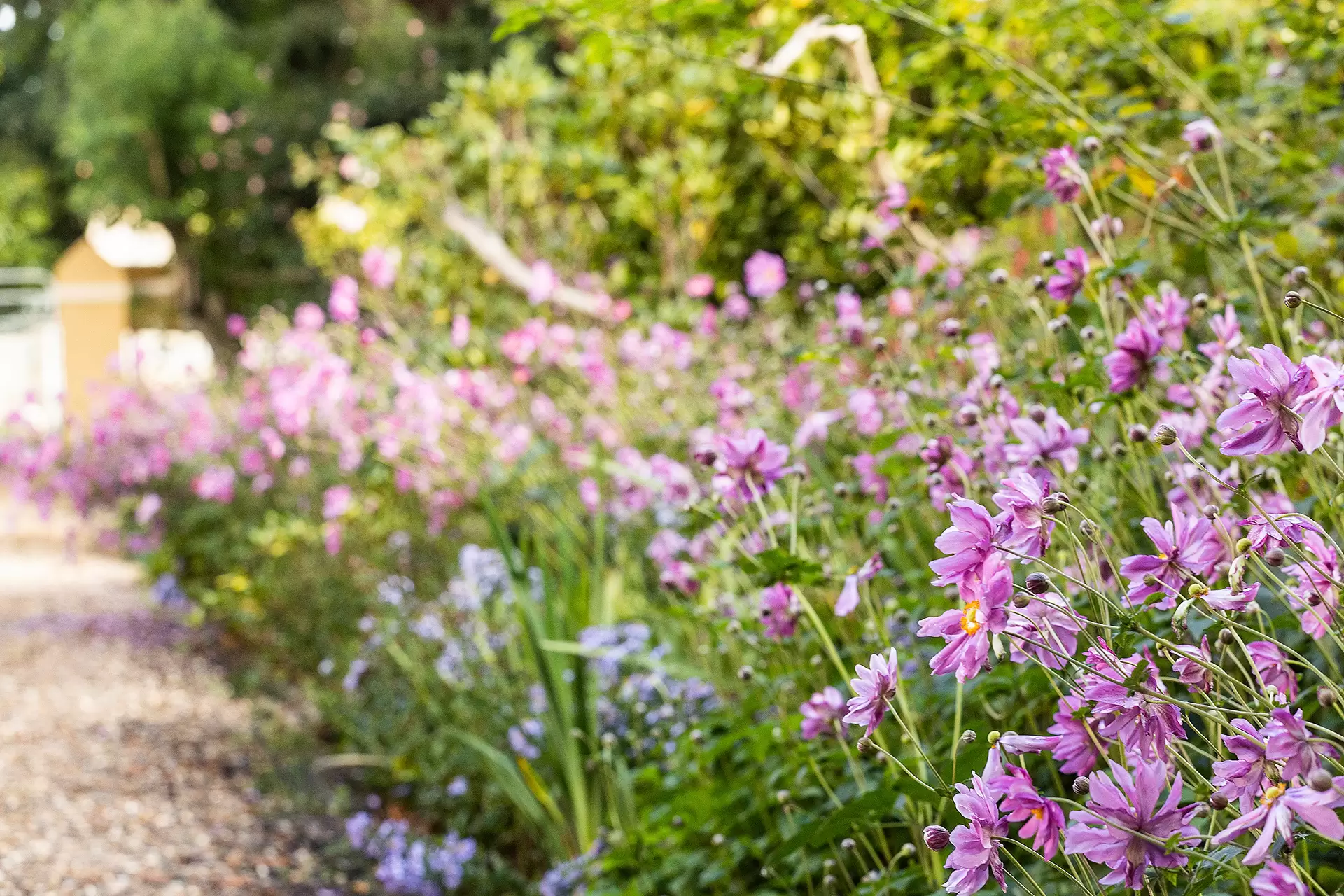 4 Church Street, Bowral For Sale by Drew Lindsay Sotheby's International Realty - image 20