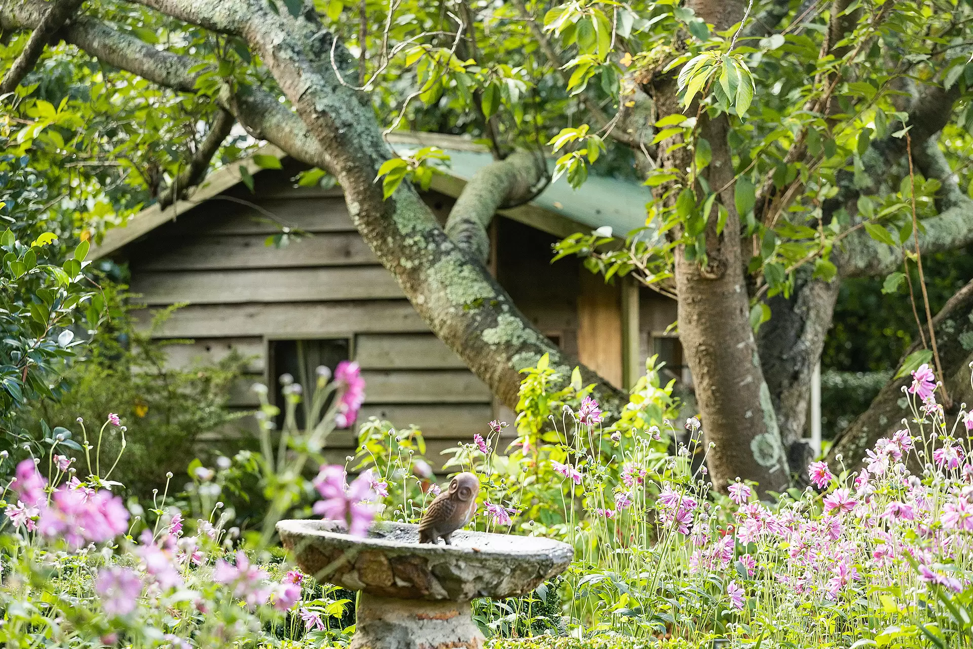 4 Church Street, Bowral For Sale by Drew Lindsay Sotheby's International Realty - image 17