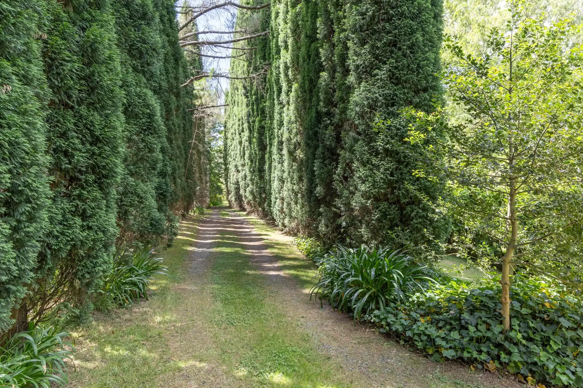 Burradoo For Sale by Drew Lindsay Sotheby's International Realty - image 25