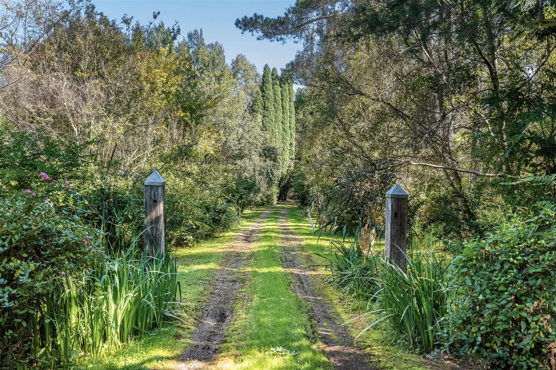 Burradoo For Sale by Drew Lindsay Sotheby's International Realty - image 3