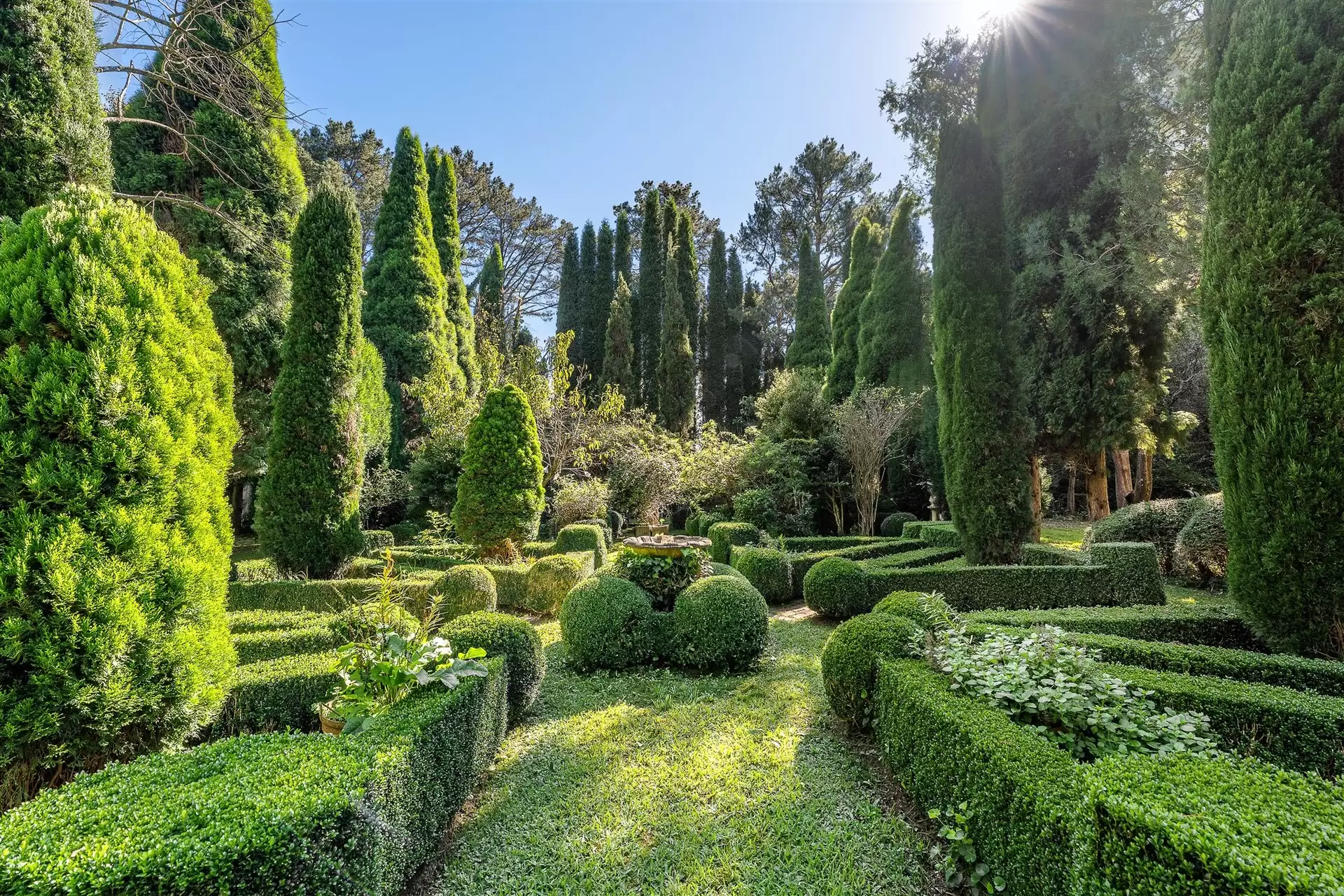 Burradoo For Sale by Drew Lindsay Sotheby's International Realty - image 4