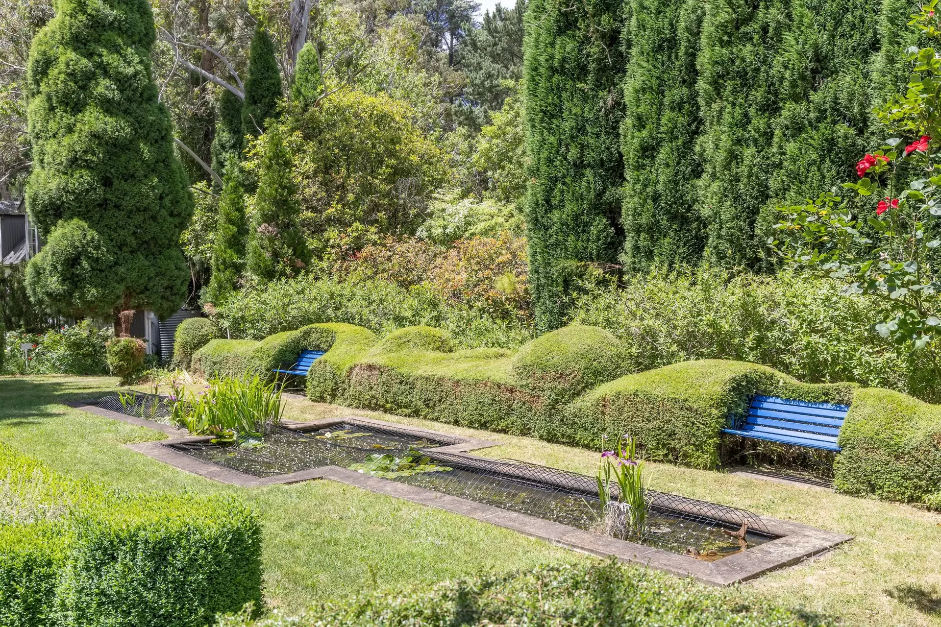 Burradoo For Sale by Drew Lindsay Sotheby's International Realty - image 22