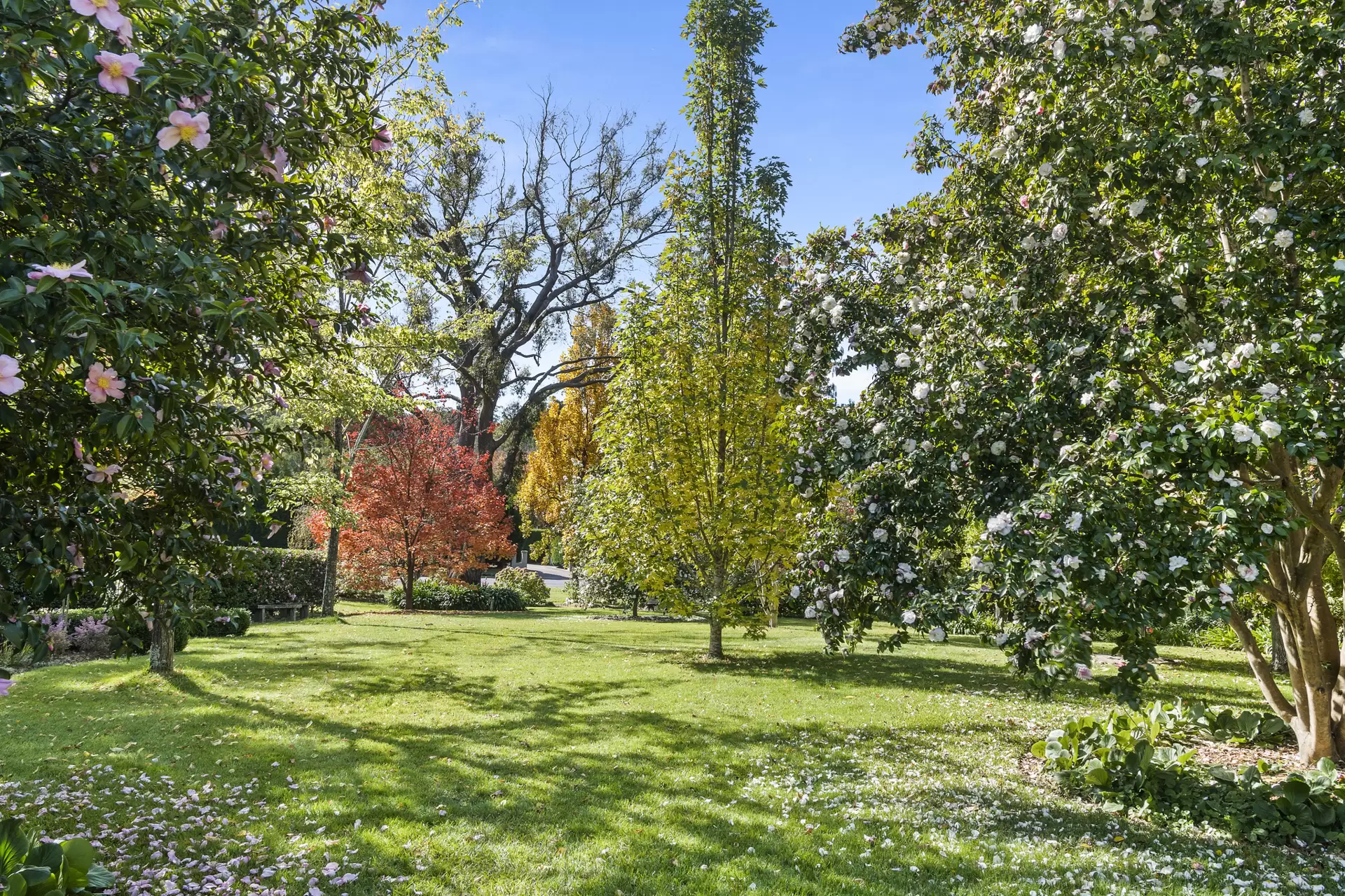 44 Centennial Road, Bowral For Sale by Drew Lindsay Sotheby's International Realty - image 20